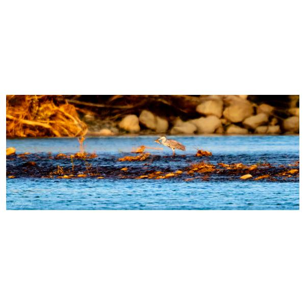 PHOTO84, CLUB, 84 , LUBERON